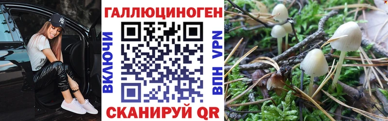 даркнет сайт  Кыштым  Галлюциногенные грибы мицелий 
